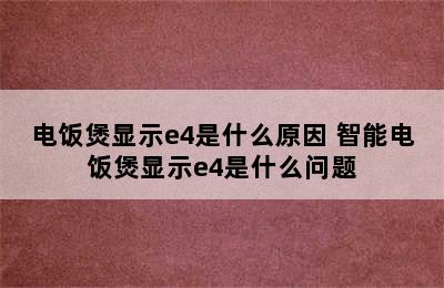 电饭煲显示e4是什么原因 智能电饭煲显示e4是什么问题